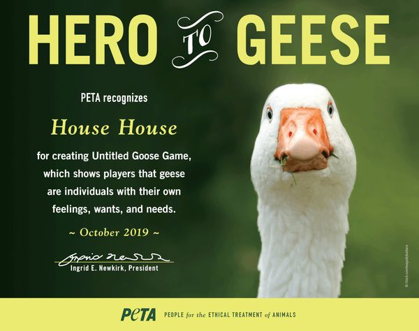 Hero to Geese PETA Award