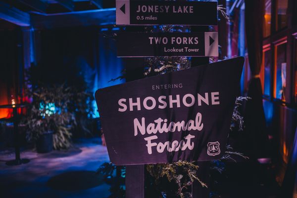Signs in the outdoor moonlit forest section of the 2015 Firewatch event